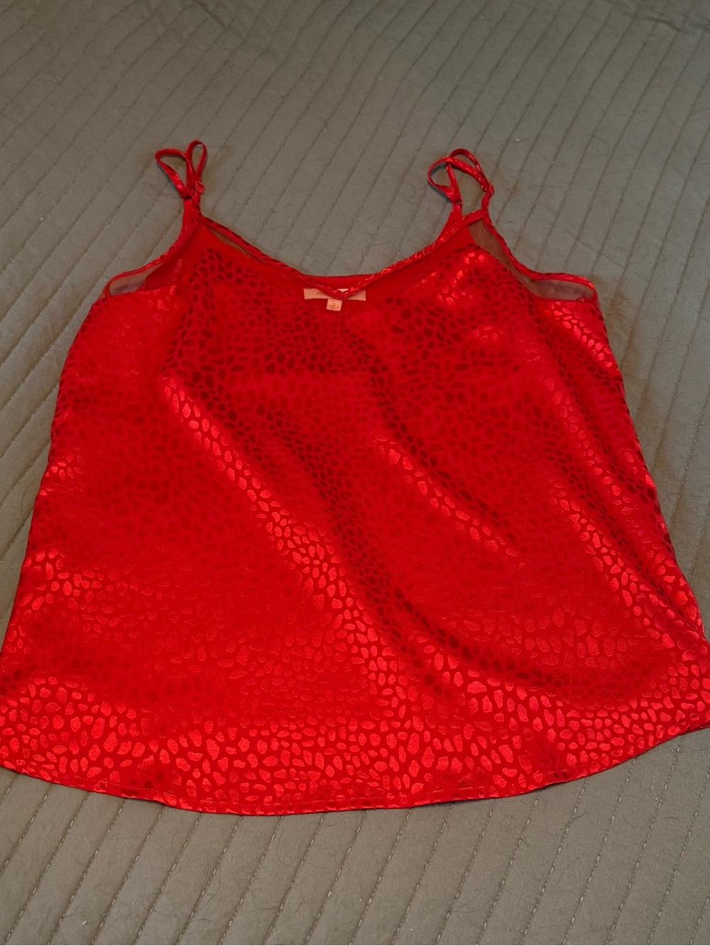 Skies Are Blue Red Satin Animal-Texture Cami